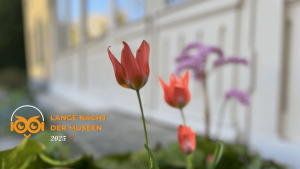 Tulpe vor Schillers Gartenhaus