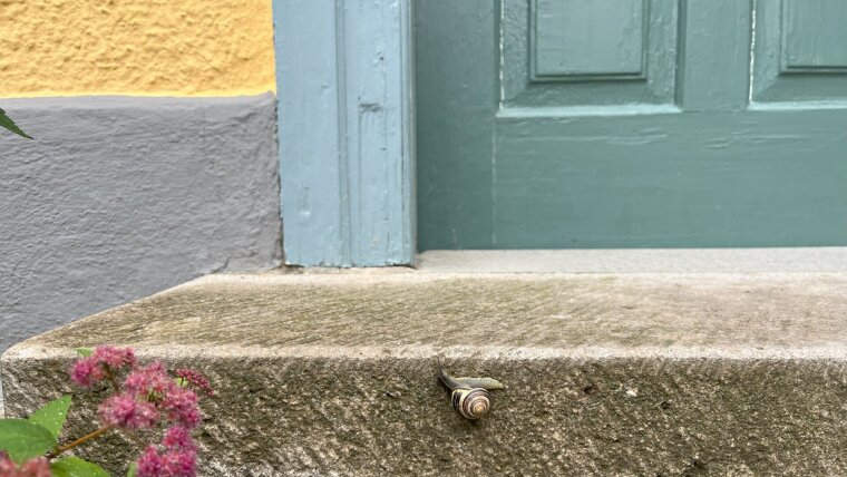 Schnecke vor der Eingangstür zu Schillers Gartenhaus