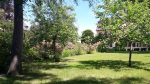 Blick über den Rasen in Richtung Veranda