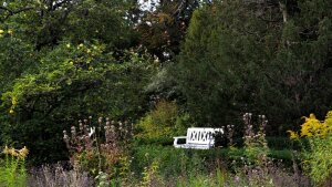Bank im sommerlichen Garten