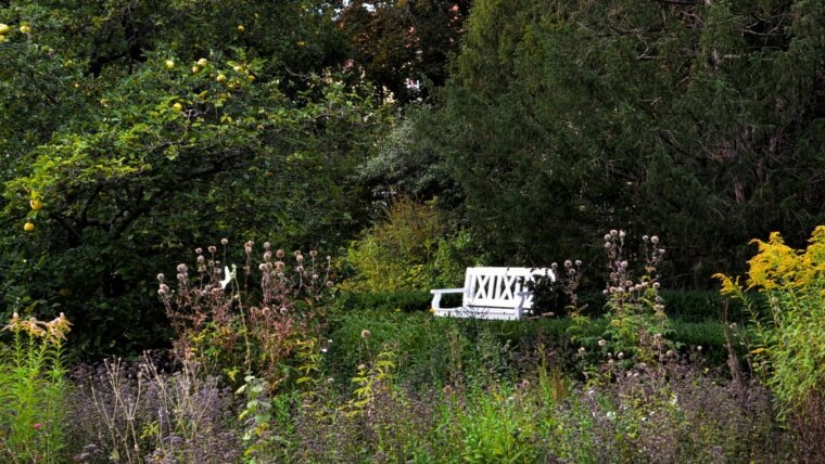 Schiller's garden in late summer