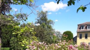 Blühende Sträucher am Gartenweg