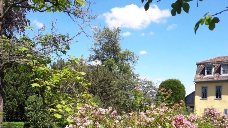 Blühende Sträucher am Gartenweg